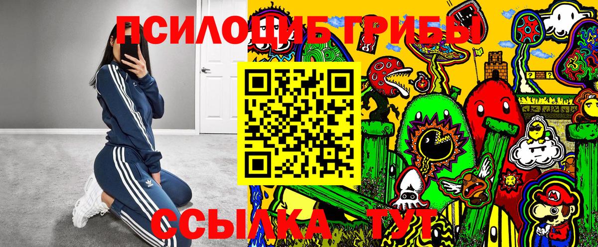 Галлюциногенные грибы MAGIC MUSHROOMS  Вход с VPN  Гулькевичи 